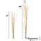 Uniquewise 12 pcs Natural Decorative Dry Branches Authentic Sticks, Home Decoration and Wedding Craft, DIY Greenery Plants Craft Vases fillers Garden Hotel Farmhouse Decor